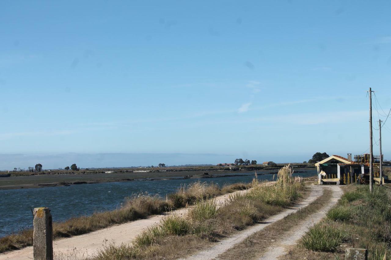 Casa Clara Villa Aveiro Dış mekan fotoğraf