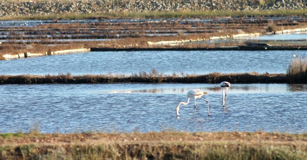 Casa Clara Villa Aveiro Dış mekan fotoğraf